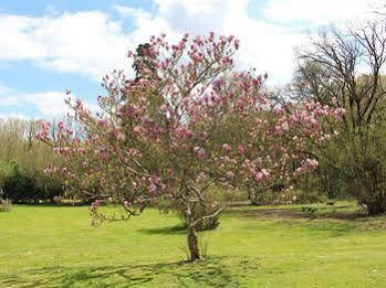 Chateau De La Touche Bed & Breakfast Savigny-Levescault Bagian luar foto